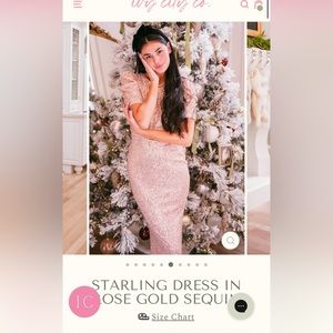 NWT Size L Ivy City Co Starling Dress Rose Gold with Sequins